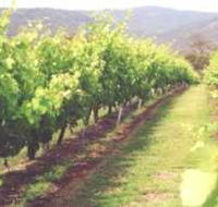Girraween Estate - Tourism Guide