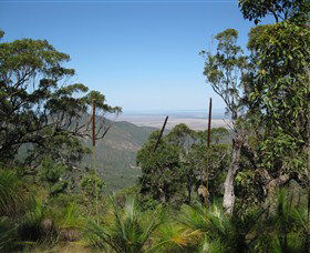 Zamia Walk - Tourism Guide 0