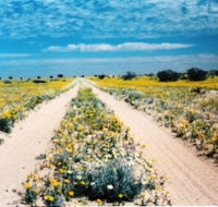 Birdsville Track - Tourism Guide