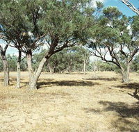 Forest Den National Park - Cruises Travel
