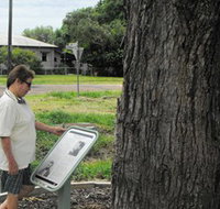Augathella Kenniff Tree - Tourism Guide