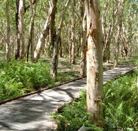 The Kommo Toera Trail - Cruises Travel