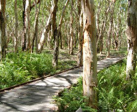 The Kommo Toera Trail - Cruises Travel 0
