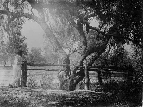 Burke And Wills Dig Tree - Tourism Guide 4