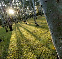 Tondoon Botanic Gardens - Tourism Guide