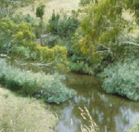Yarrambat Park - Tourism Guide