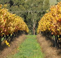 Wild Dog Winery  Restaurant - Cruises Travel