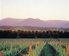 Domaine Chandon - Travel Agents 0