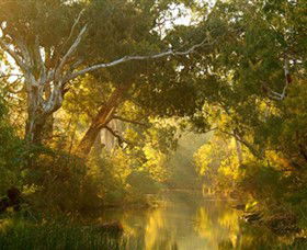 Brimbank Park - Cruises Travel 0