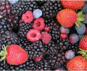 Pennyroyal VIC Travel Agents