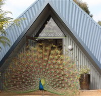 Halls Gap Zoo - Tourism Guide