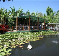 Blue Lotus Water Garden - Tourism Guide