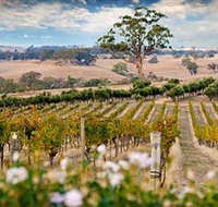 Redesdale Estate - Tourism Guide