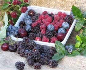 Bright Berry Farms - Tourism Guide 0