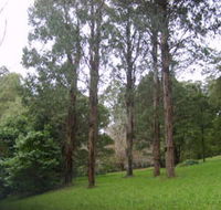 Mount Dandenong Arboretum - Tourism Guide