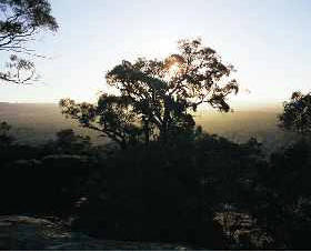Ivanhoe East VIC Cruises Travel