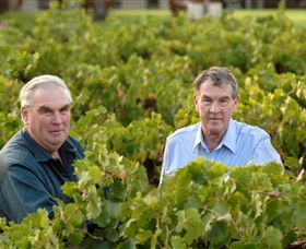 Campbells Wines - Tourism Guide 0