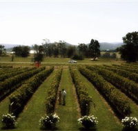 Rochford Wines - Tourism Guide