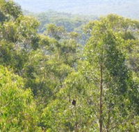 Bunyip State Park - Tourism Guide