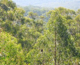 Bunyip State Park - Tourism Guide 0