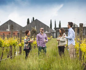 Willow Creek Vineyard - Tourism Guide 0