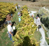 Blakes Estate Winery - Travel Agents