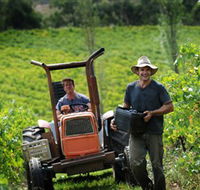 Kellybrook Winery  Kelly Brothers Cider - Tourism Guide