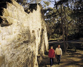 Tarilta VIC Tourism Guide