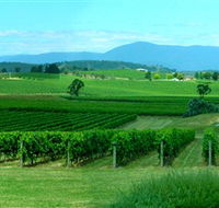 Acacia Ridge Vineyard - Tourism Guide