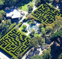 Ashcombe Maze  Lavender Gardens - Tourism Guide