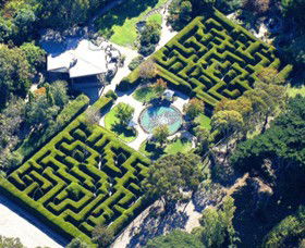 Ashcombe Maze & Lavender Gardens - Tourism Guide 0