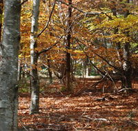 RJ Hamer Arboretum - Tourism Guide