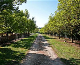Waybourne Winery - Tourism Guide 0