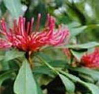 Alfred National Park - Tourism Guide