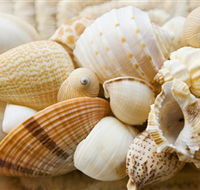 Anglesea Beach Club - Travel Agents