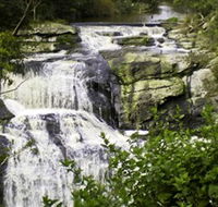 Agnes Falls Scenic Reserve - Tourism Guide