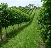 The Cups Estate - Tourism Guide