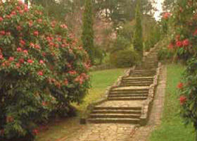 Maroondah Reservoir Park - Tourism Guide 0