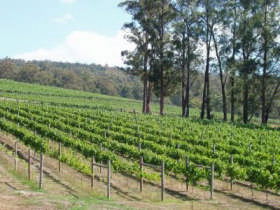 Toorongo VIC Tourism Guide