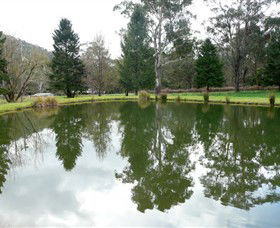 Harrietville VIC Tourism Guide