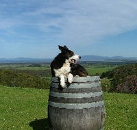 Windy Ridge Vineyard and Winery - Tourism Guide
