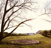 Scotchmans Hill - Tourism Guide