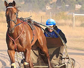 Ballarat & District Trotting Club - Tourism Guide 0