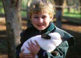 Keilor VIC Travel Agents