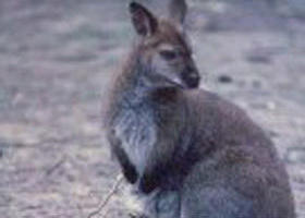 Churchill National Park - Tourism Guide 0