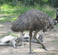 Bundoora Park - Tourism Guide