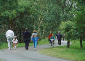 Birrarrung Park - Tourism Guide 0