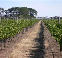 Mount Beckworth Wines - Tourism Guide
