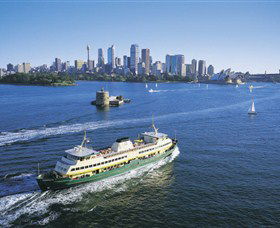  Cruises Travel