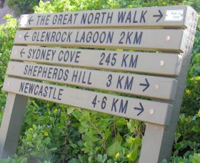 Great North Walk - Cruises Travel 0